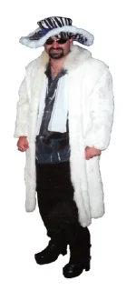 pimp.webp