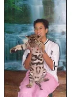 smallcub.webp