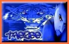 banner.webp