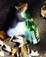 drunkmouse.webp