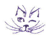 catblink.gif
