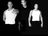 vincollage3.webp
