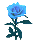 bluerose.gif
