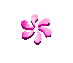 spinnin%20flower.gif