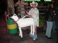 halloween costume.webp