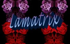lamatrix.webp
