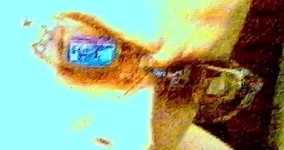glasses.webp