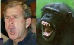 bush4.webp