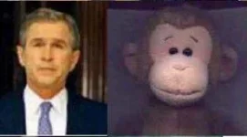bush5.webp