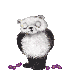 pandavalentine.gif