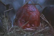 birth.webp