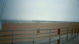 roll1dx-9.webp