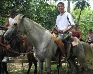 horsy!.webp