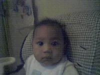 tai2.webp