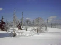 OMFG SNOW 2CF.webp