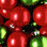 mxcf.gif