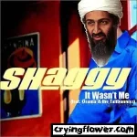osamawasntme_www_cryingflower_com.webp