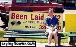 beenlaid_www_cryingflower_com.webp