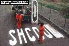 shcool_www_cryingflower_com.webp