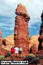 pervertedstructure_www_cryingflower_com.webp