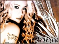 shakiritaCFFFF.webp