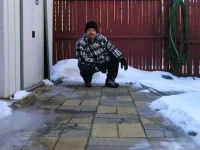 shady1c.webp