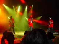 29.webp