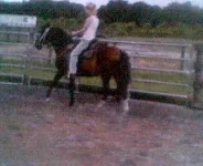 tampa6.webp